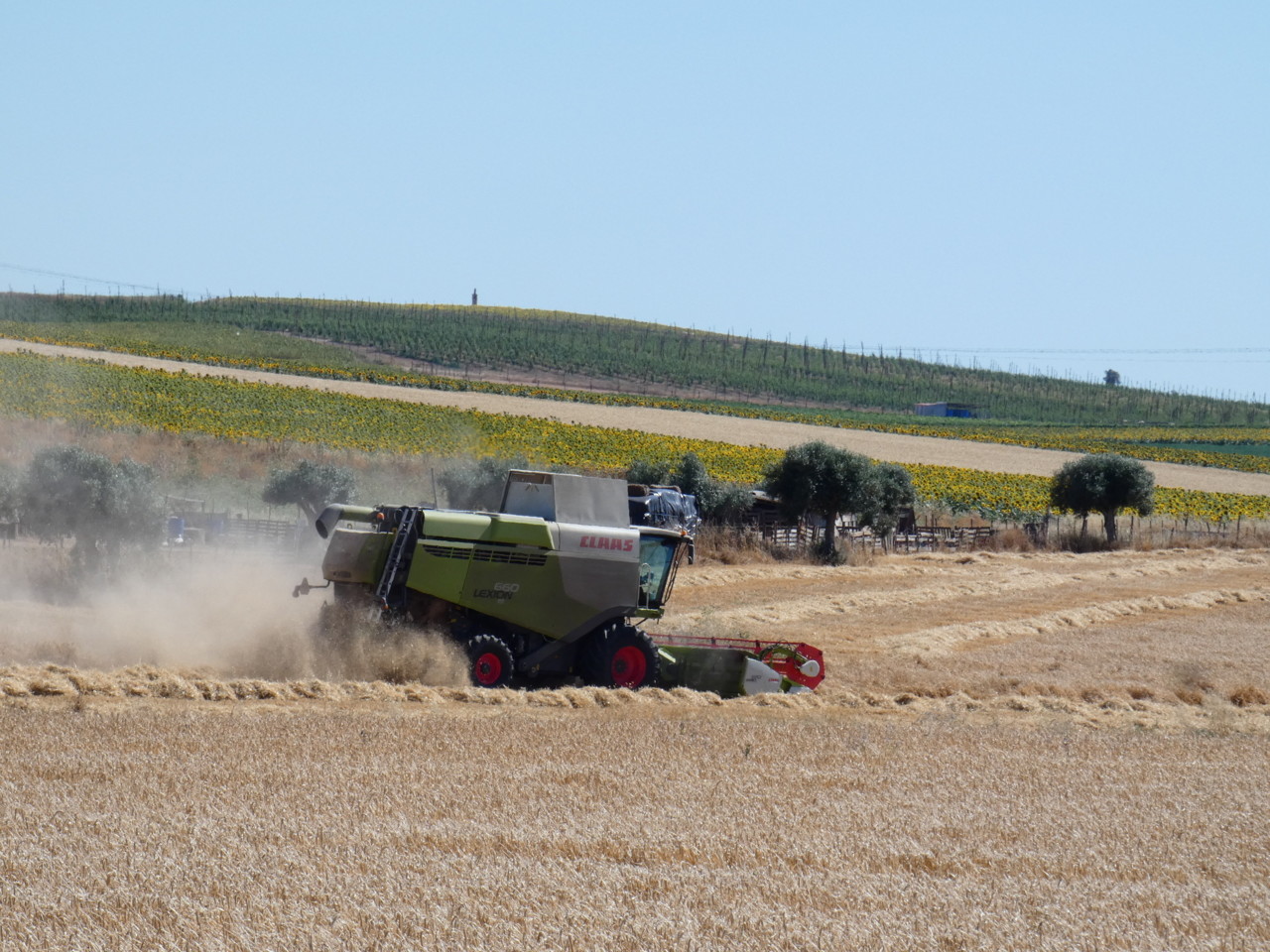 P1040618.JPG P1040618.JPG