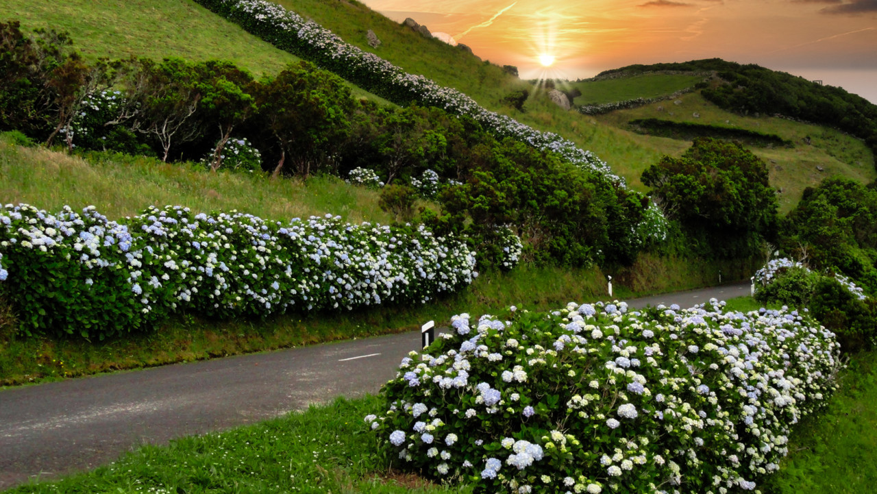 Açores Ilhas das Flores poer do sol.jpg