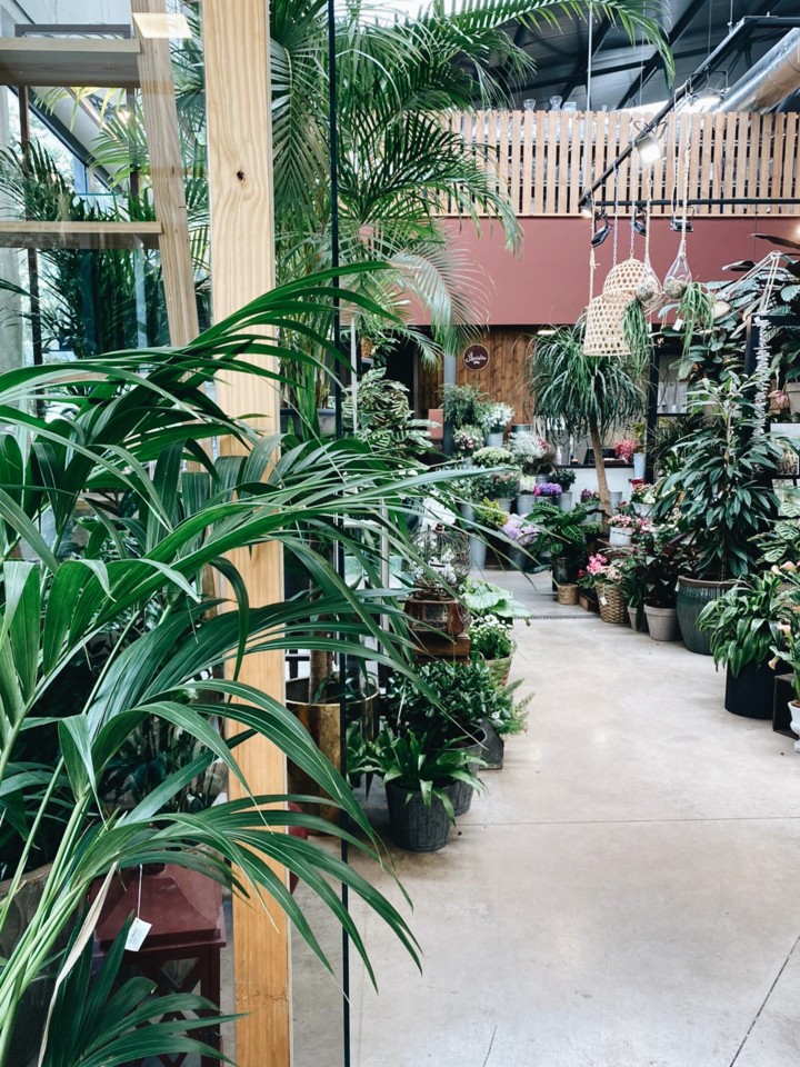 0B3DD42C-F213-4B02-AC44-A74A4C6F0EC9-C3467B9E-45CF 0B3DD42C-F213-4B02-AC44-A74A4C6F0EC9-C3467B9E-45CF