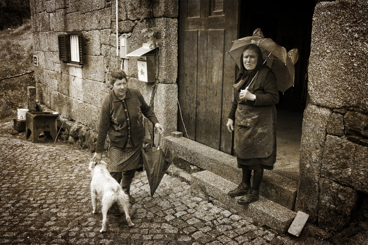 _JMF9388 - cópia copy - cópia.jpg