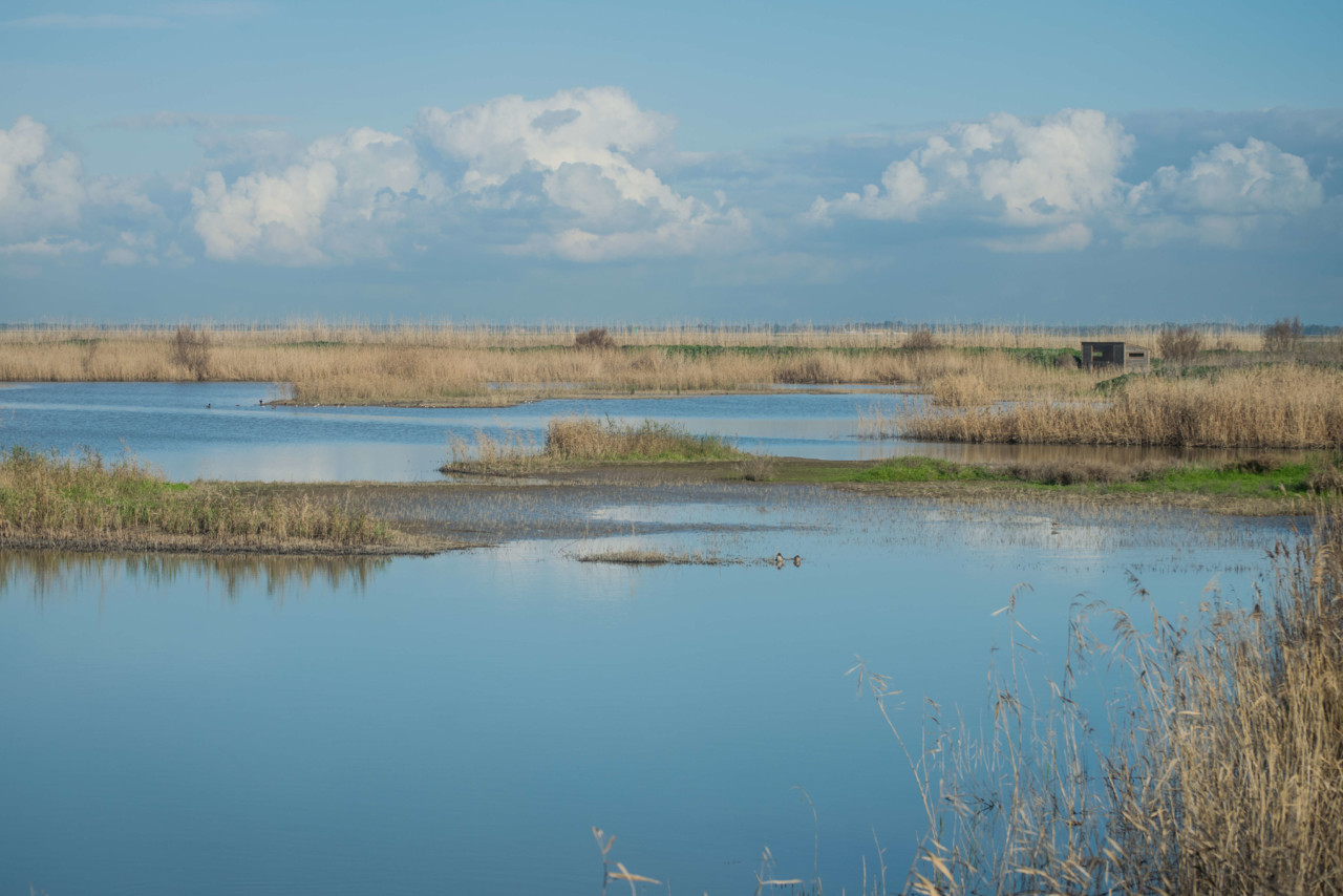 Um abrigo para observação de aves na margem de um dos lagos do EVOA