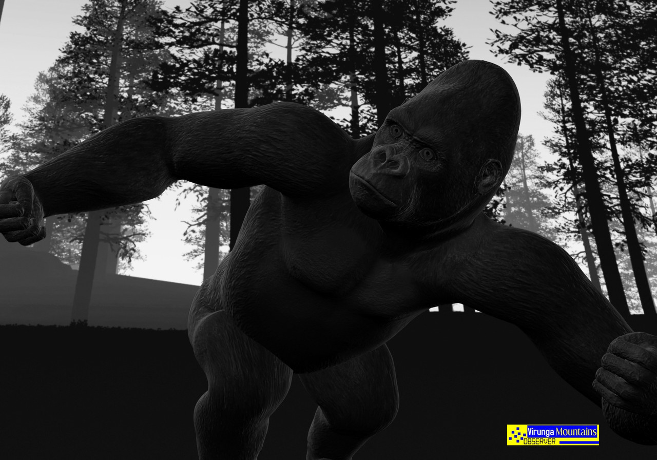 Joram Jojo Joram Jojo