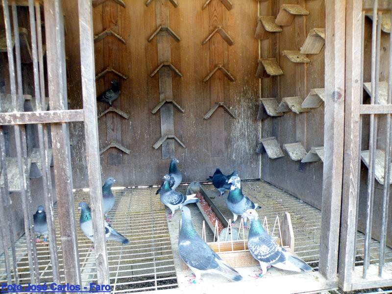 Lagos 014.JPG Lagos 014.JPG