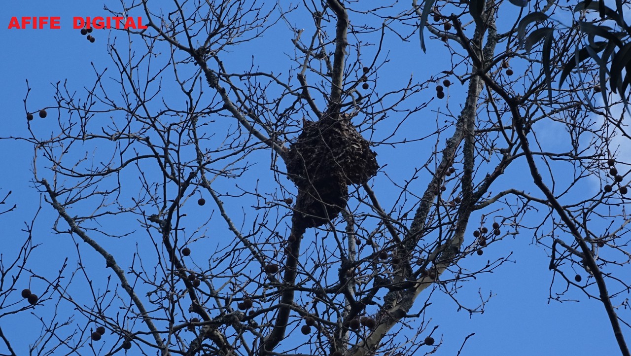 DSC00262.JPG DSC00262.JPG