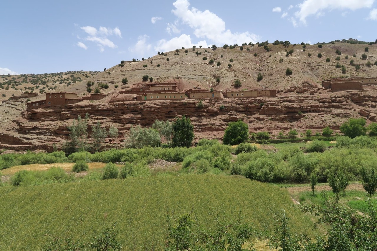 2017-06-20 2017-06-24 001 135.jpg 2017-06-20 2017-06-24 001 135.jpg