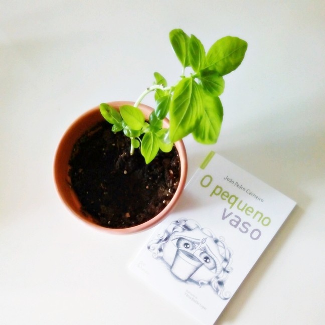 O Pequeno Vaso .jpg