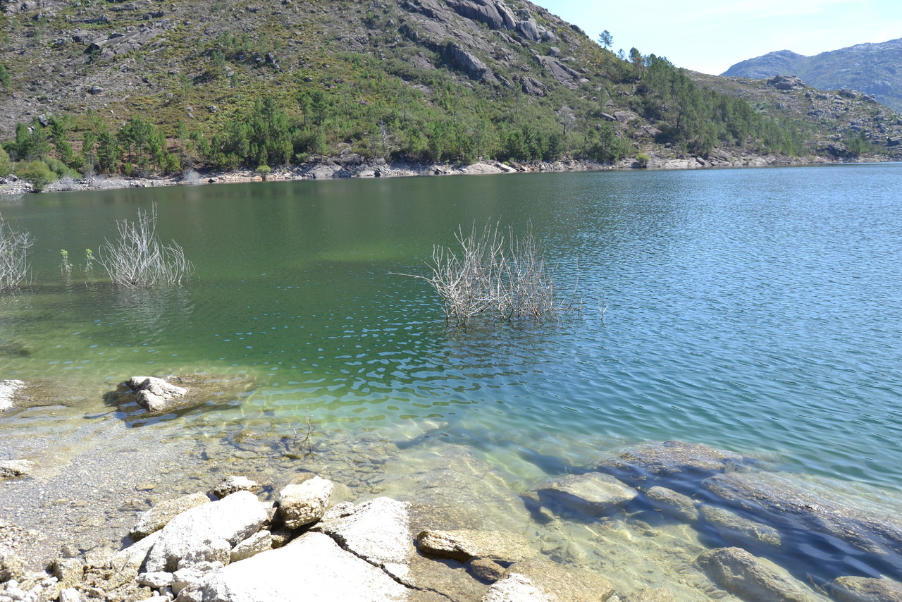 DSC_0930.JPG DSC_0930.JPG