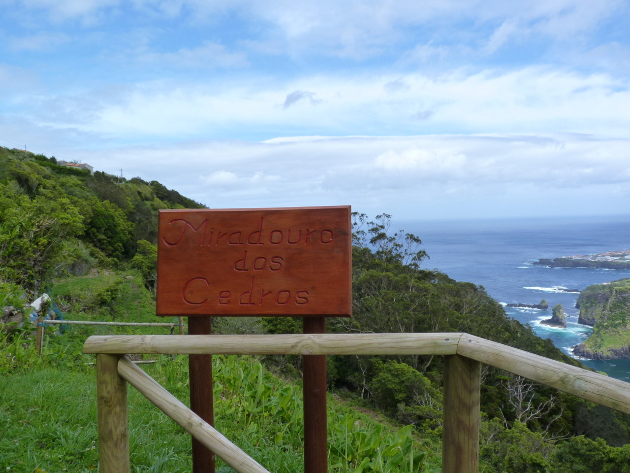 Cedros, Flores (1).JPG