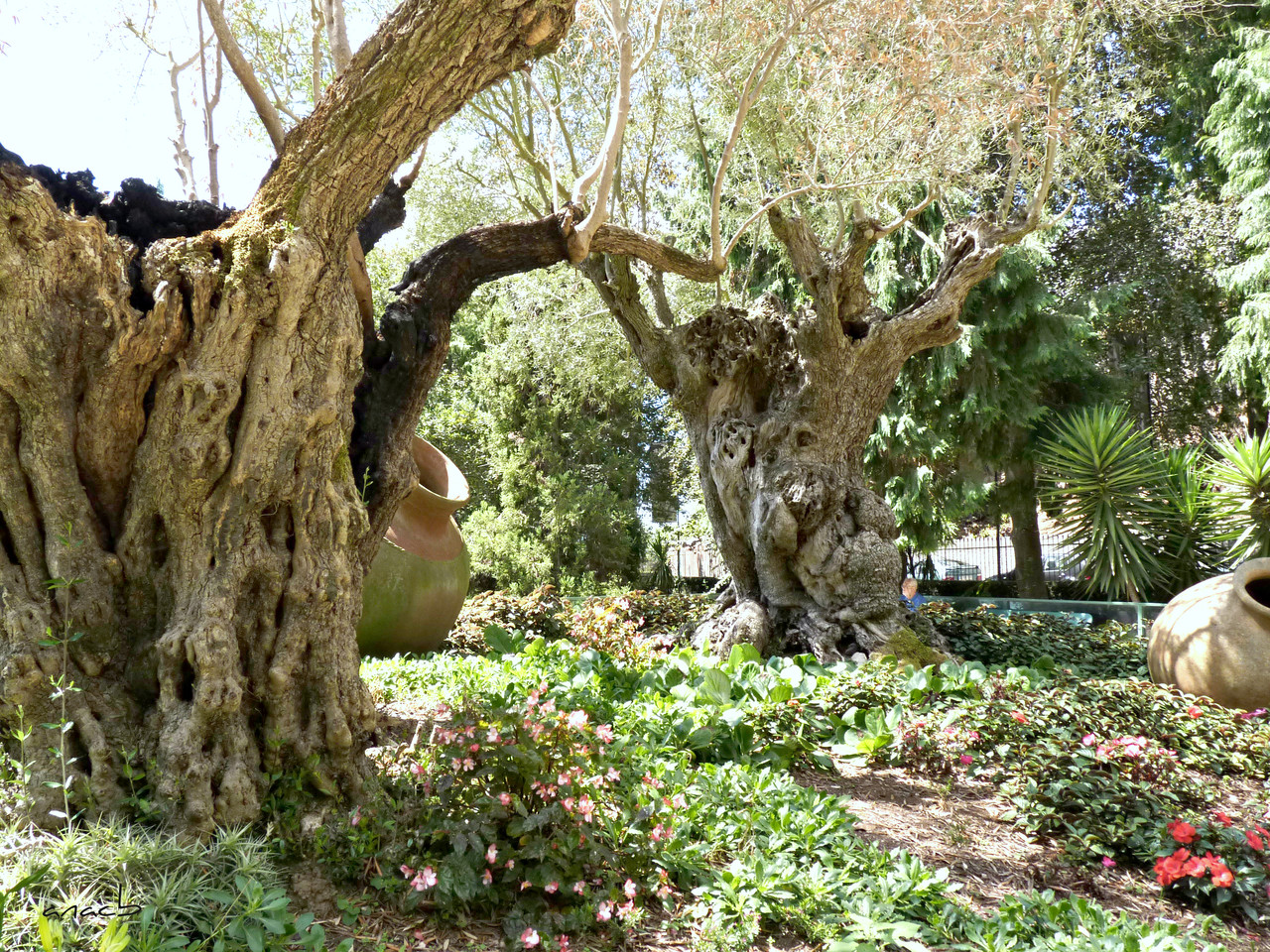 Funchal - Jardins Monte Palace (627) cópia assin.