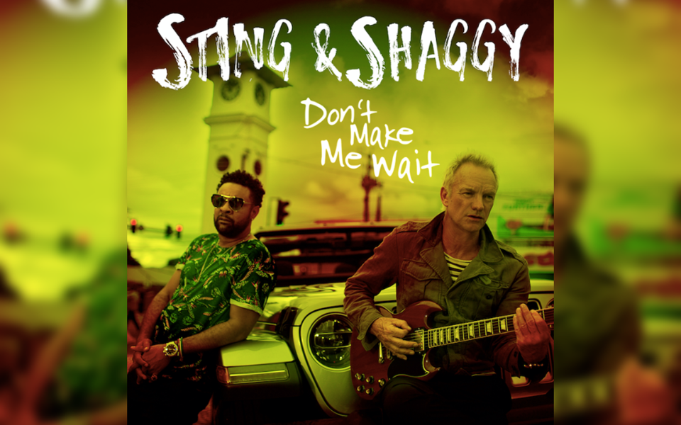 stingshaggy.png stingshaggy.png