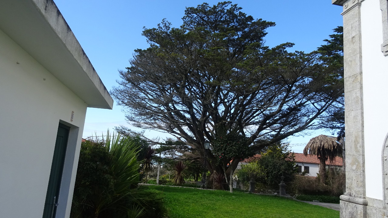 DSC00251.JPG DSC00251.JPG