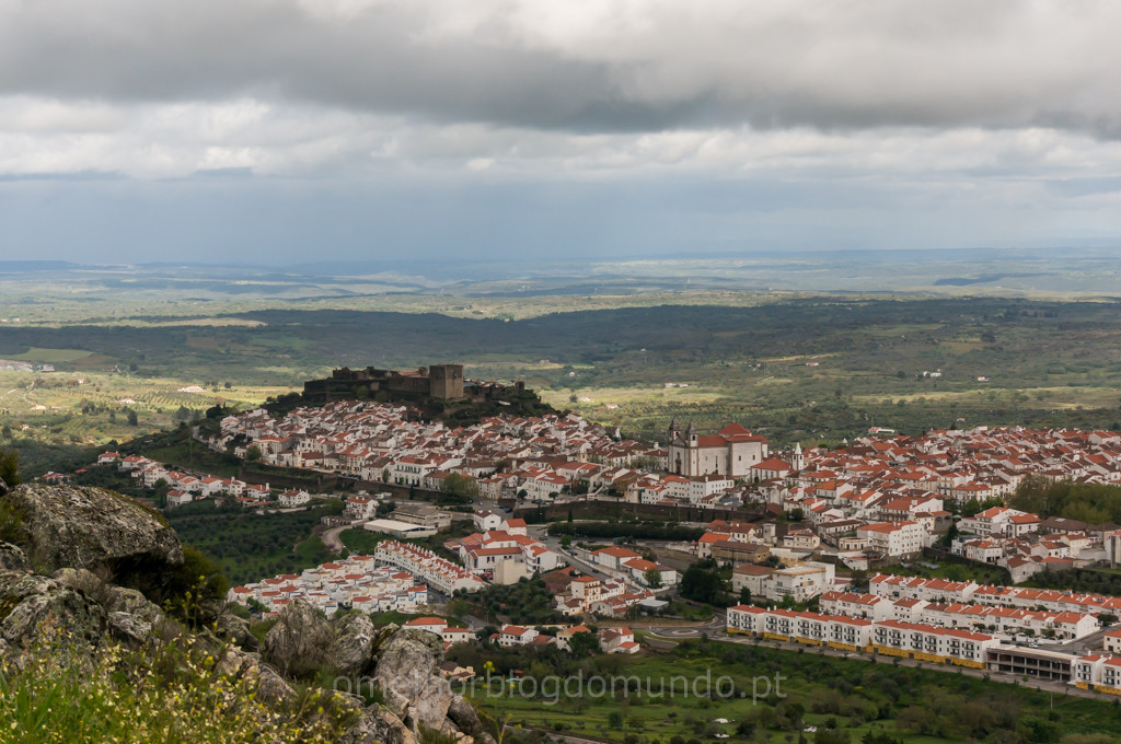 _DSC6397.jpg _DSC6397.jpg