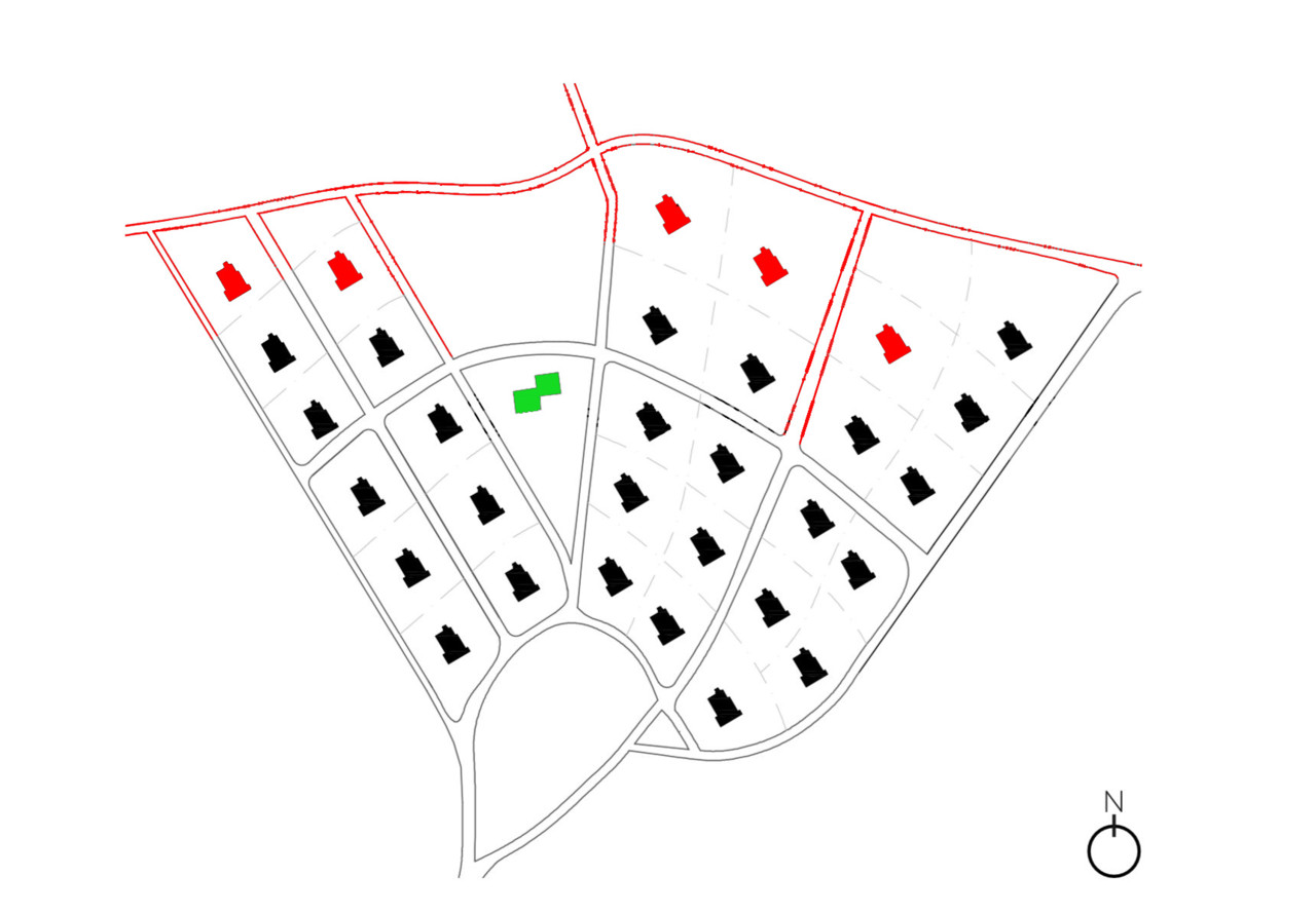 33-fig criande - oliveira.JPG