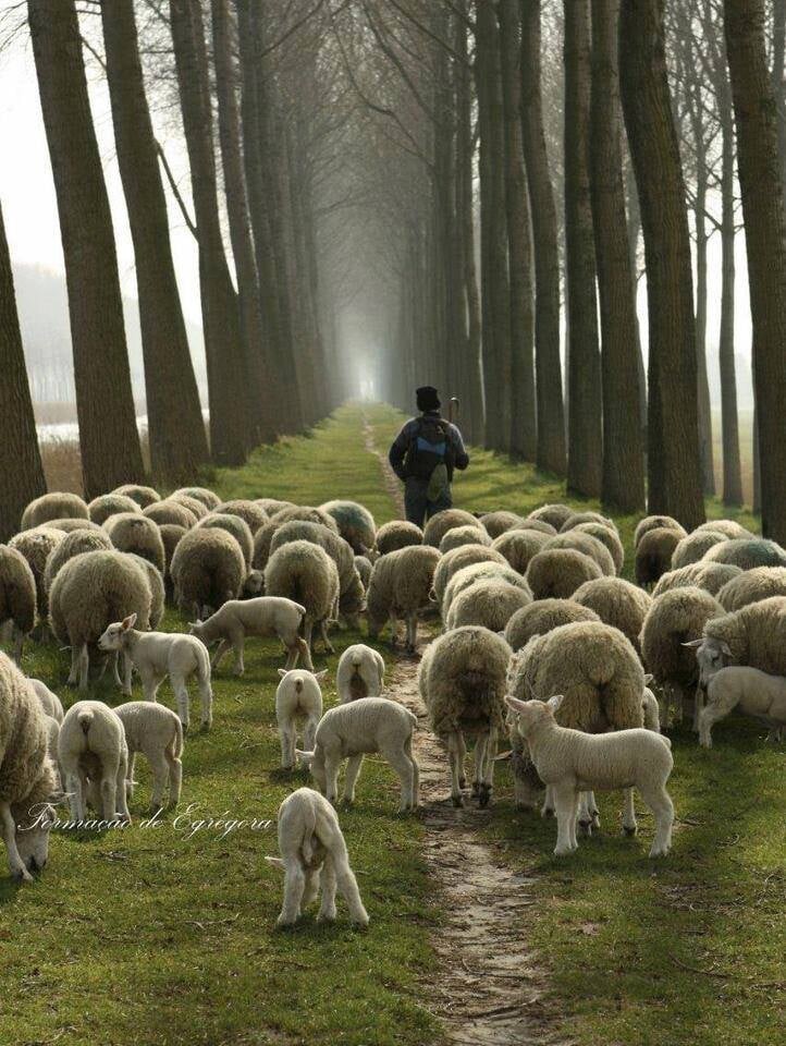 122509200_3415104245244117_2109877351977395401_n.j