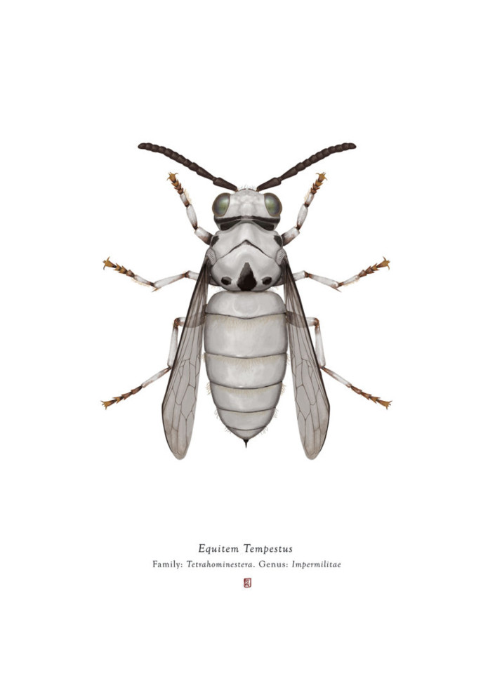 richard-wilkinsons-star-wars-insects-1-770x1049.jp
