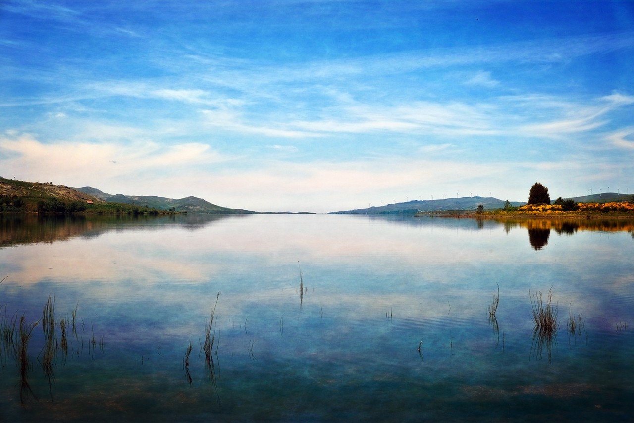 DSCF0344 - cópia.JPG