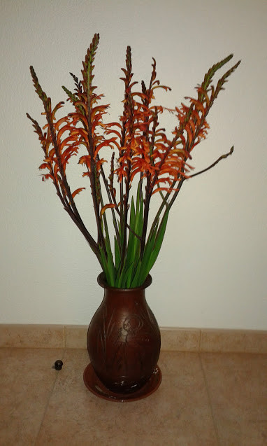 20180219_185354.jpg 20180219_185354.jpg