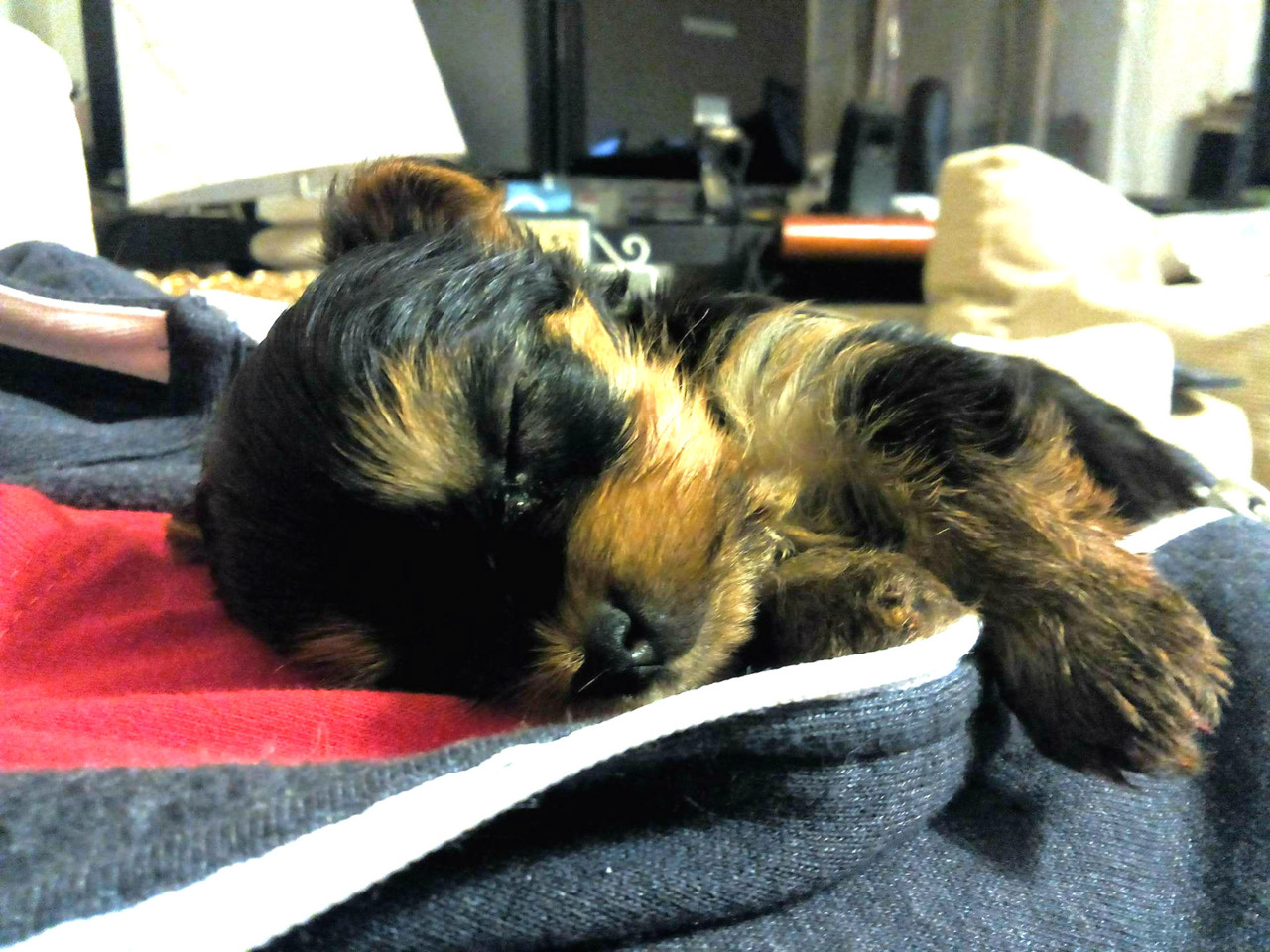 32072784_2161691227192625_8863342469077532672_n.jp