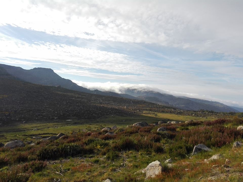 13921073_1413490552010821_1322568419231326761_n.jp 13921073_1413490552010821_1322568419231326761_n.jp