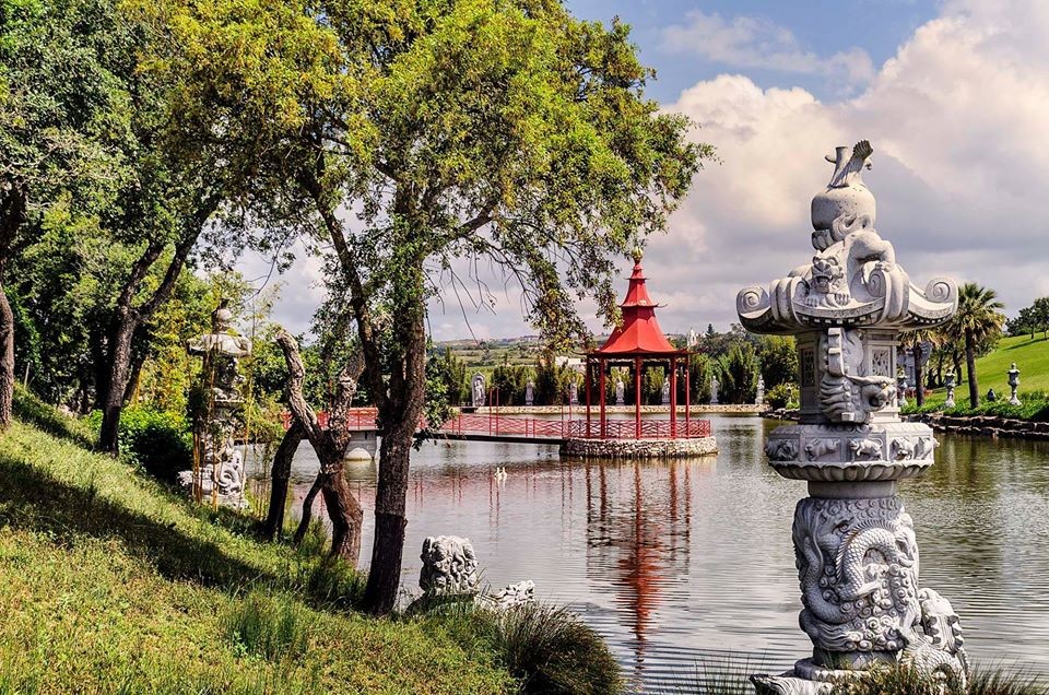 14289917_1807085726205932_3211813696974250248_o.jp