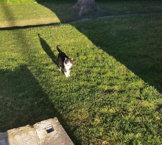 areo26janeiro.jpg areo26janeiro.jpg