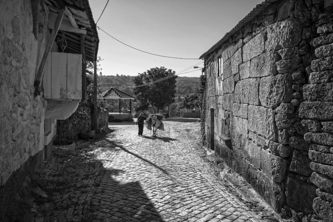 DSCF5241 - cópia copy.jpg DSCF5241 - cópia copy.jpg