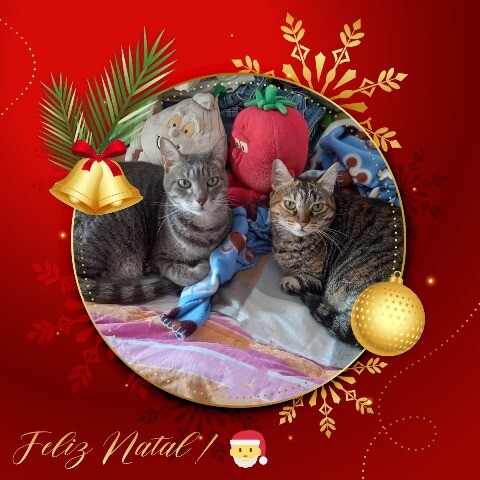 403636951_259504010222857_4713316891092848450_n.jp