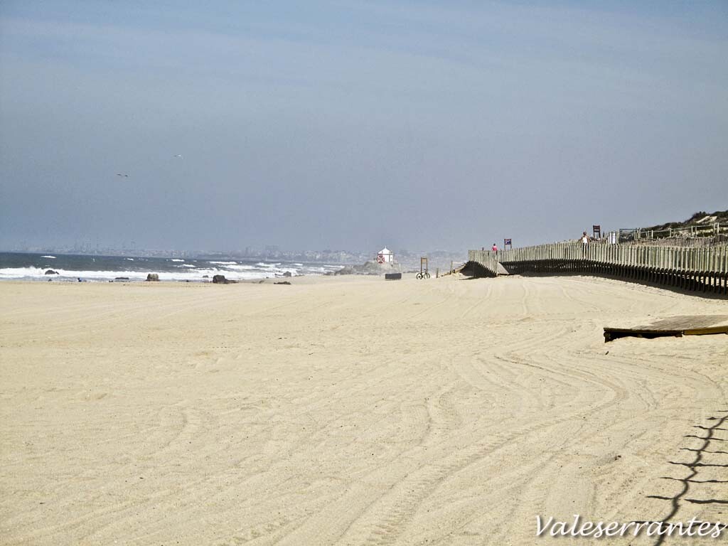 IMG_4158.jpg