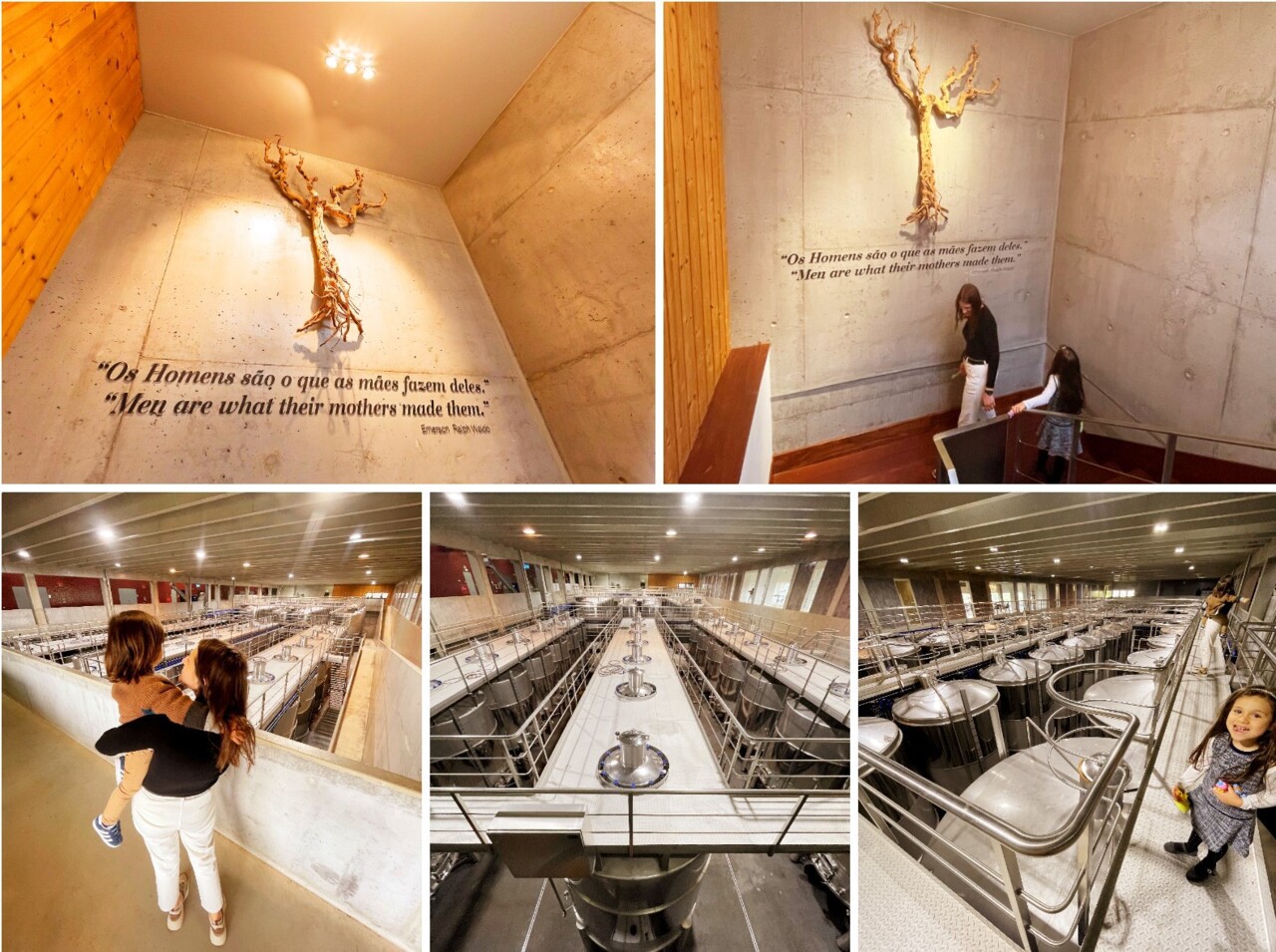 AdegaMãe e o primeiro Colheita Tardia