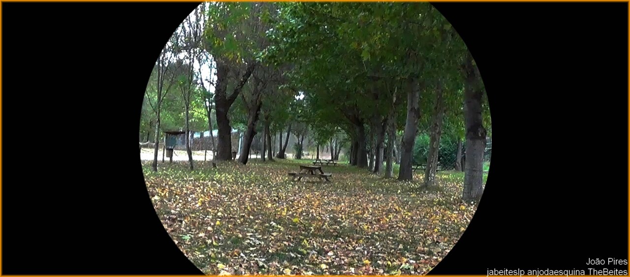 visita meu blog!