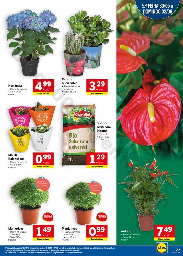 LIDL 27 maio_022.jpg