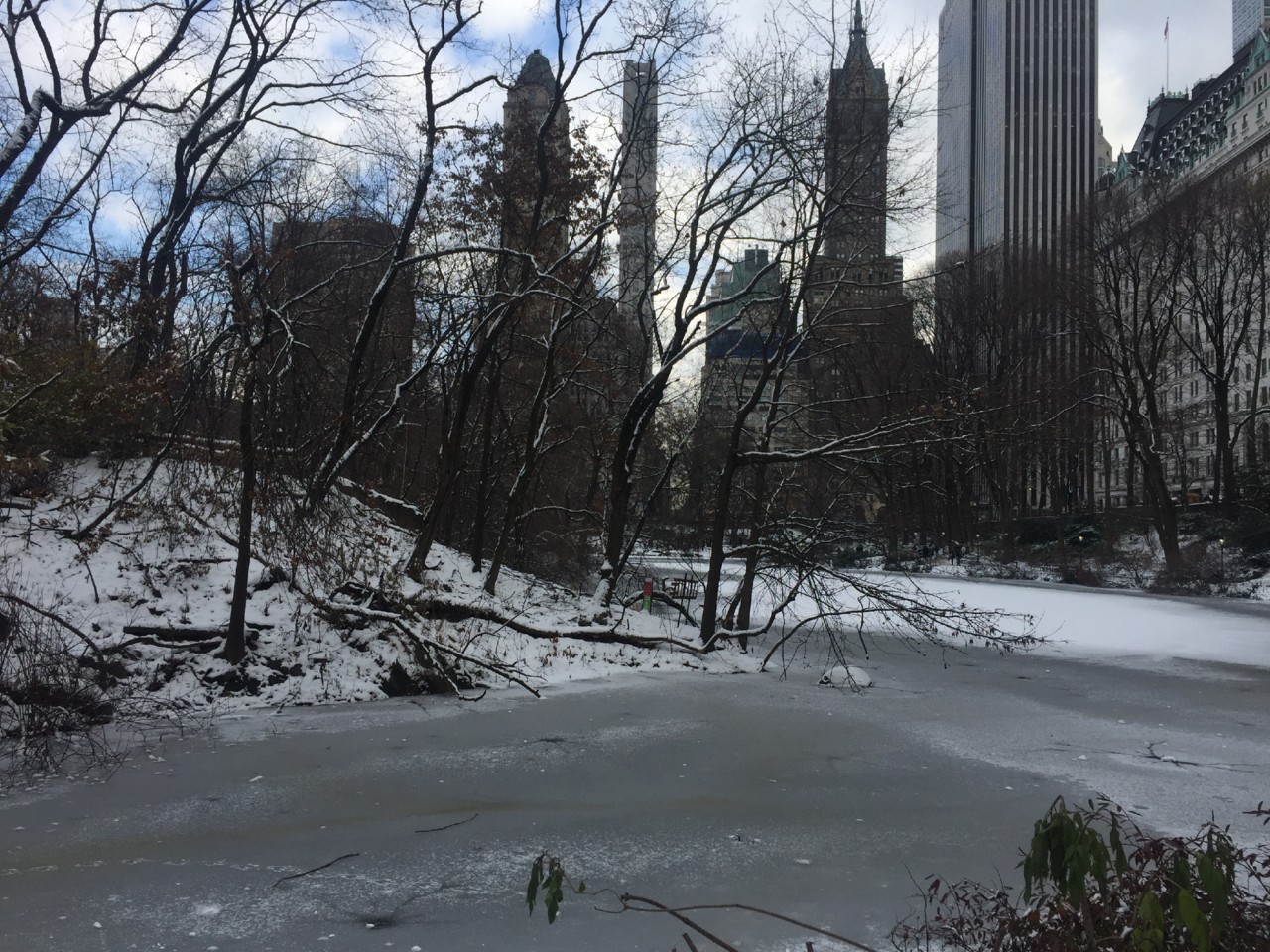 IMG_8486.JPG IMG_8486.JPG