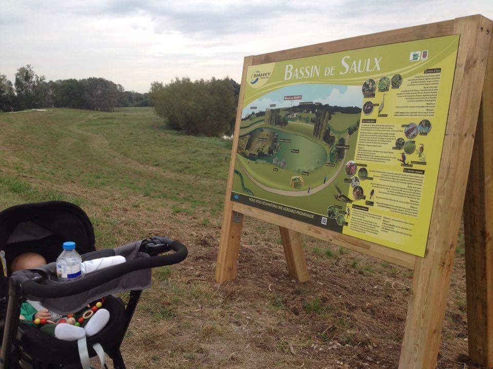 IMG_4546.JPG IMG_4546.JPG