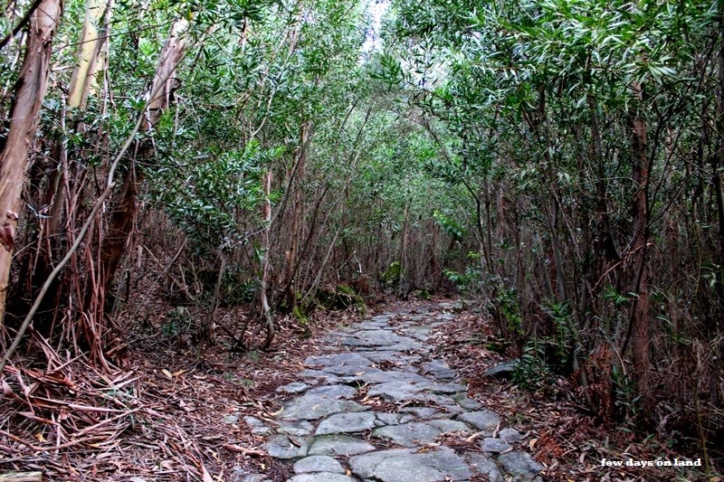 convento_sao_francisco (2).JPG