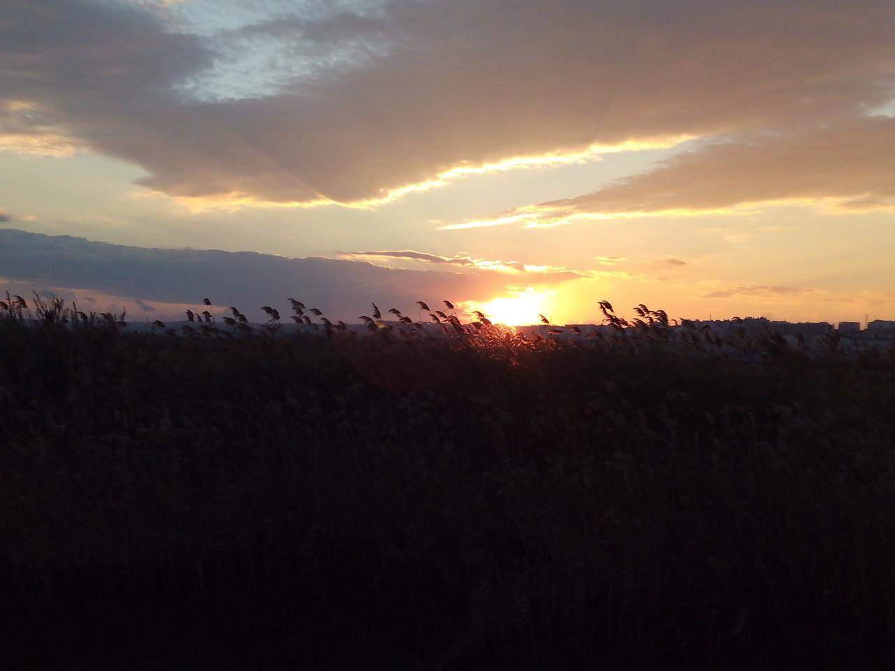 Parque Linear Ribeirinho do Estuário do Tejo (37)