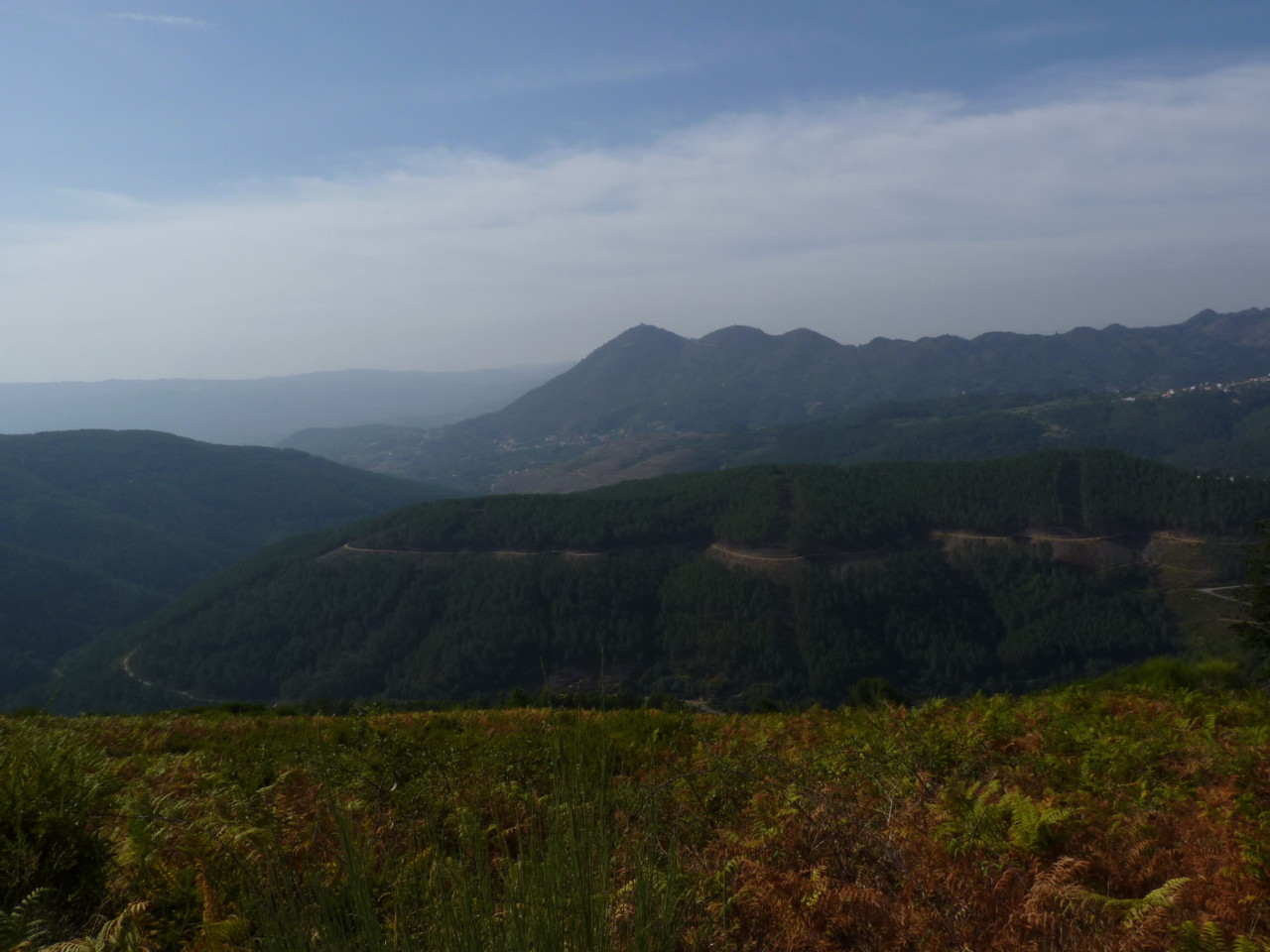 Ermelo (15).JPG Ermelo (15).JPG