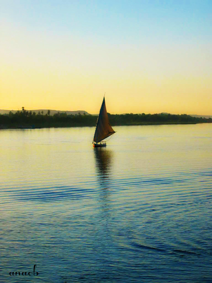 ao acaso #16 faluca no rio Nilo, em Assuão, Egipt