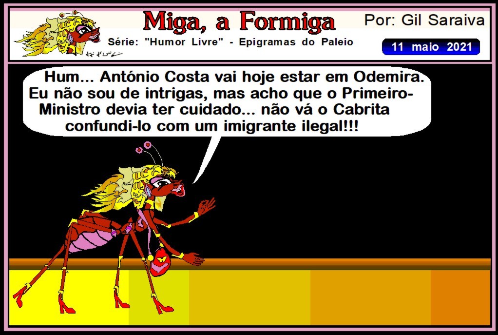 MIGA968.JPG