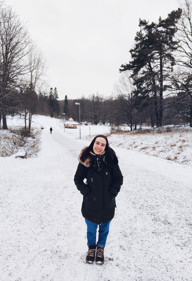 Neve em Estocolmo, Fevereiro.jpg