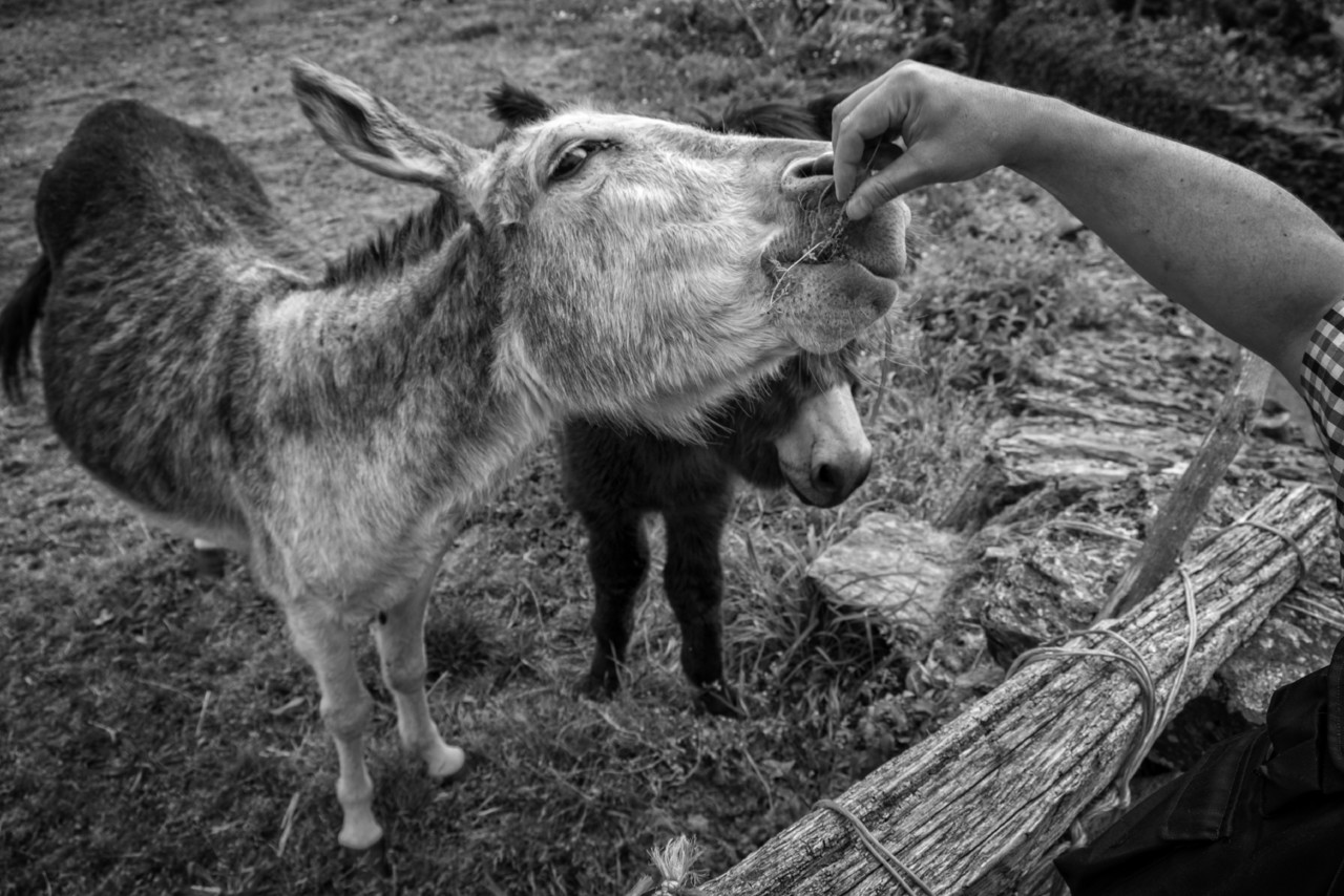 barroso - volta por SAlto 095 - cópia copy.jpg