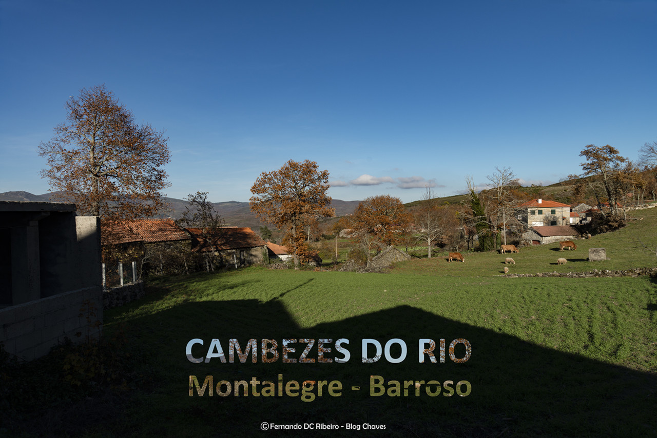 1600-cambeses do rio (23)-video.jpg