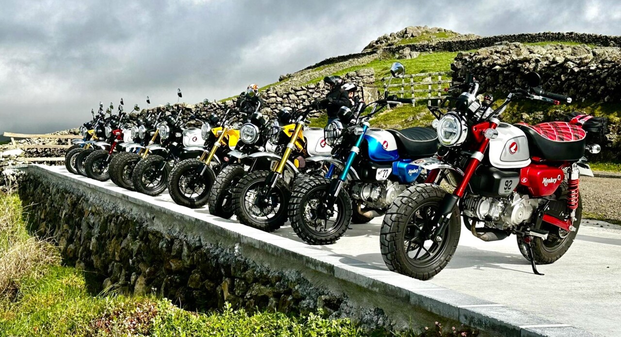 429562812_797381302255680_5123123991440006751_n.jp