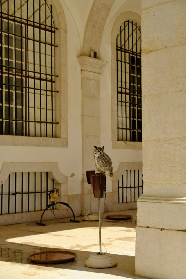 DSCF1207.jpg DSCF1207.jpg