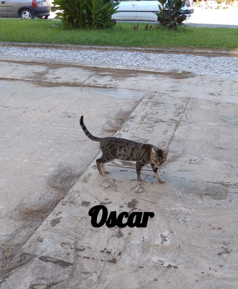 SquarePic_20190828_17304262.jpg SquarePic_20190828_17304262.jpg