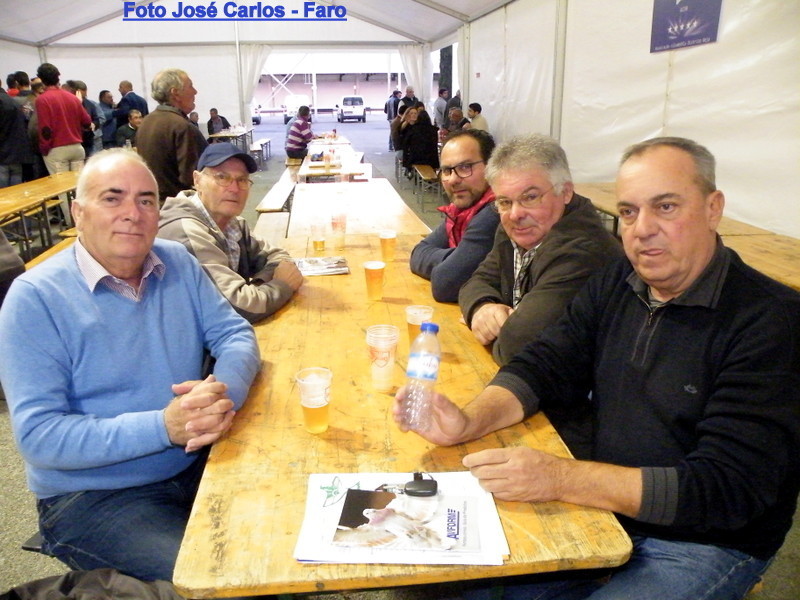 Feira Ibérica Beja 2018 076.JPG Feira Ibérica Beja 2018 076.JPG