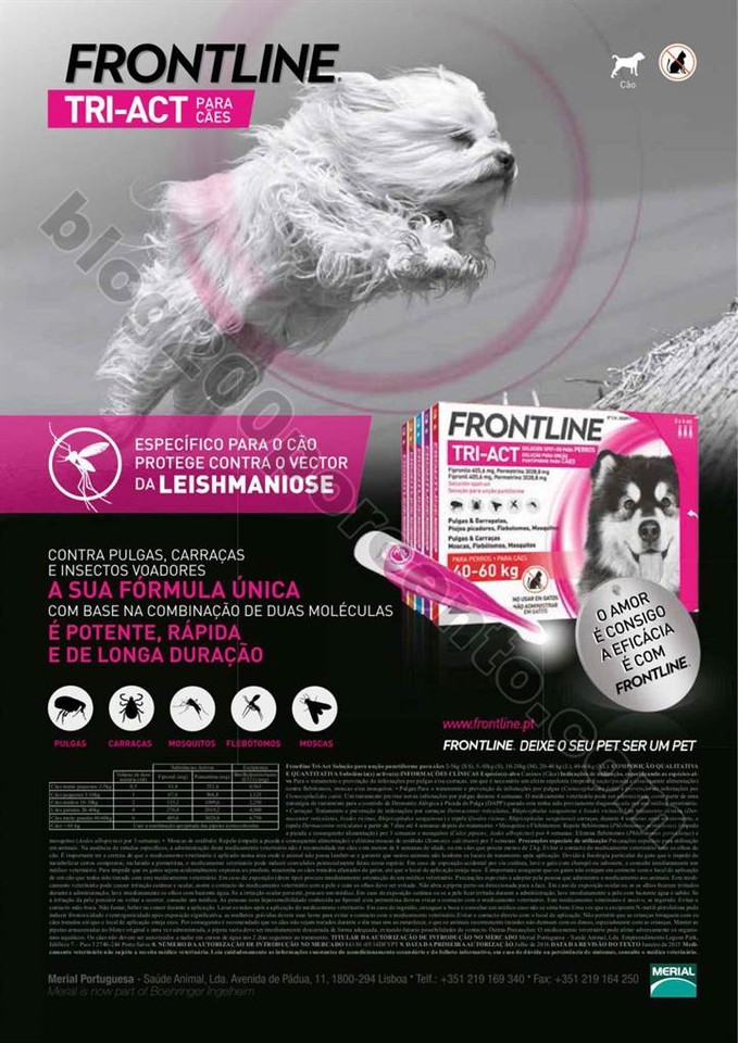 Antevisão Folheto WELLS Promoções de 25 julho a