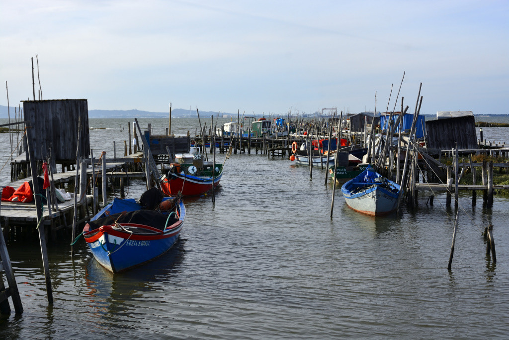 DSC_2904_01_00001.jpg DSC_2904_01_00001.jpg