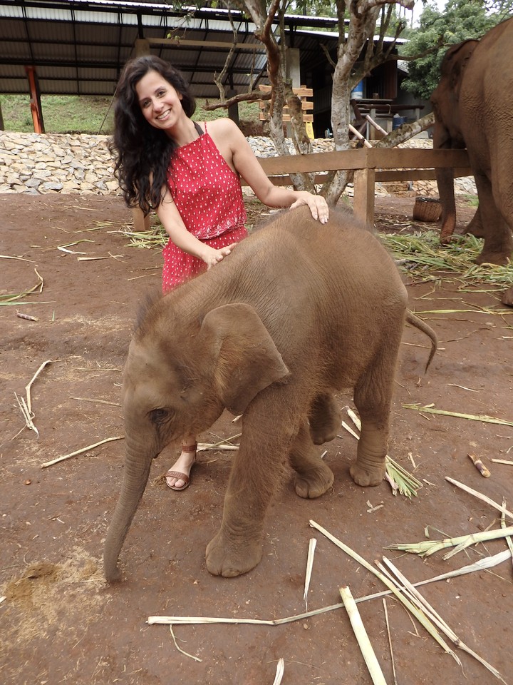 P6103972.jpg P6103972.jpg