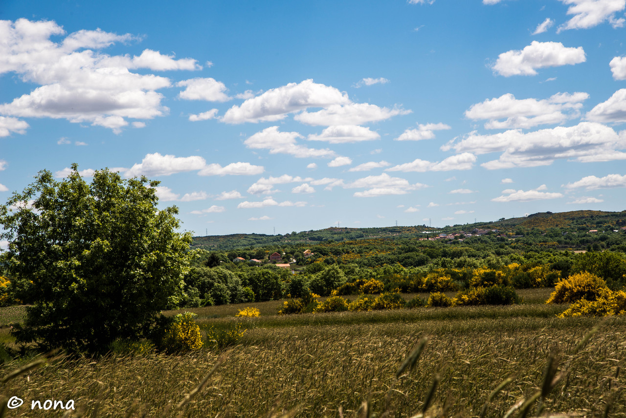 20.- Vagueando pela Montanha.jpg