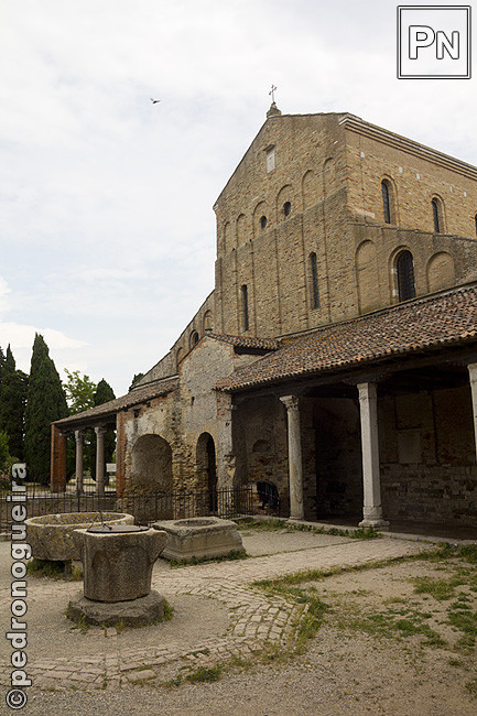 _MG_1131 650px.jpg _MG_1131 650px.jpg